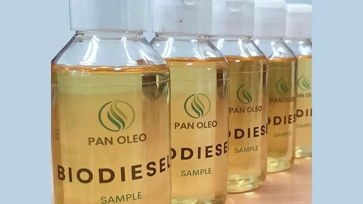 Pan Oleo Energy