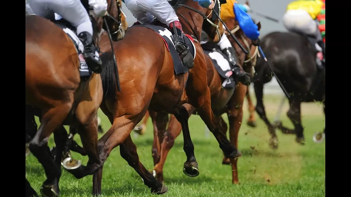 Top 10 Australian Horse Racing Betting Apps