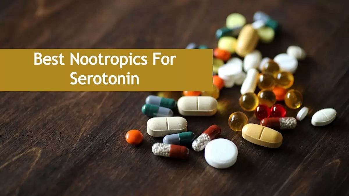 Best Nootropics For Serotonin