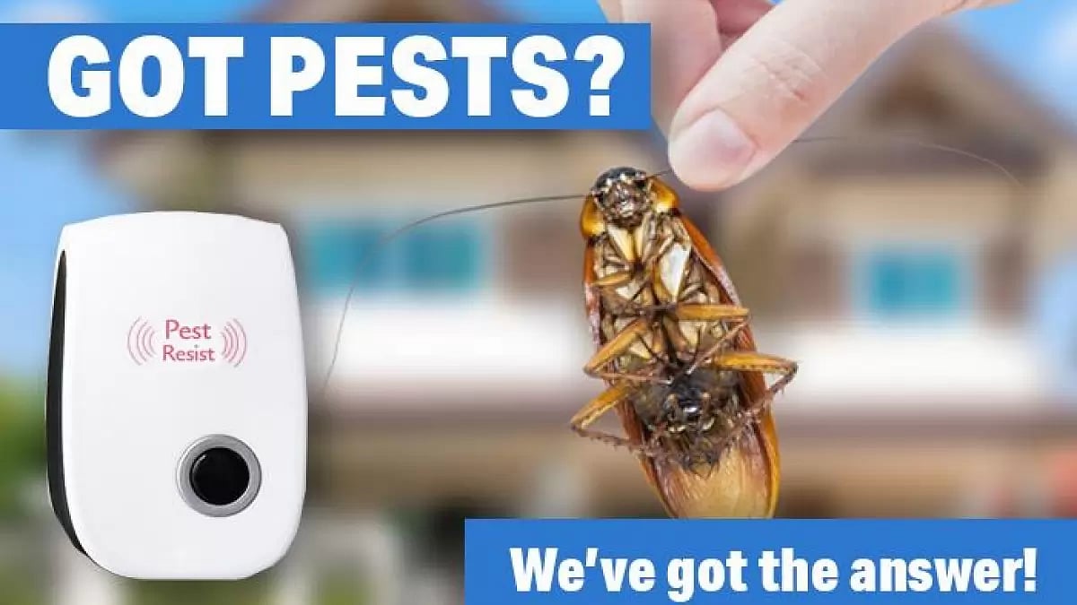 Pest Resister Reviews 