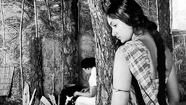 Celebrating A Classic: Mani Kaul's Duvidha