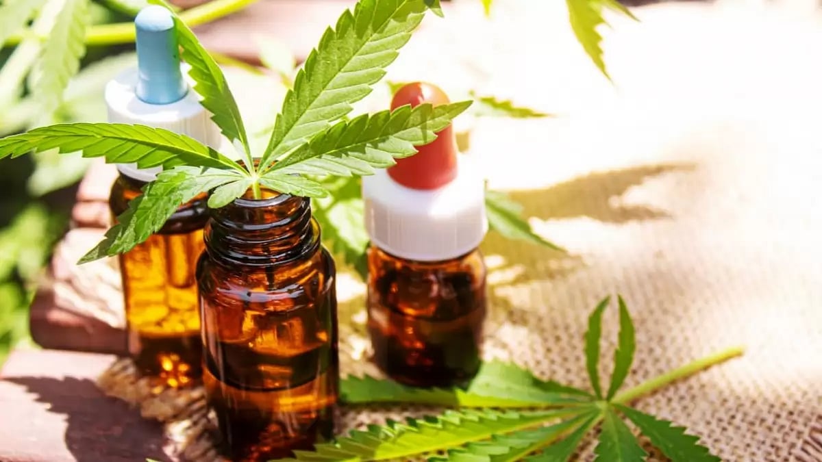 Are Binoid Reviews Accurate