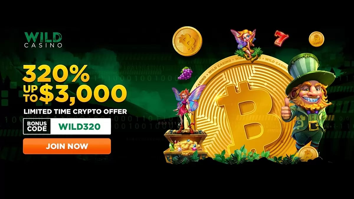 Wild Casino Review USA 
