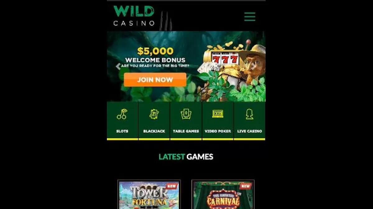 Wild Casino