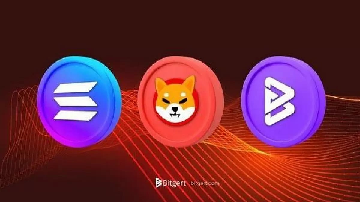 Solana, Shiba Inu, And Bitgert - Prospects In The Midst Of An Anticipated Bull Run
