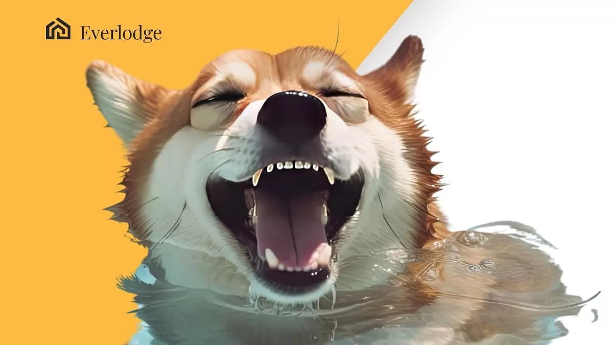 Google Bard's Top Three Coins For New Buyers in 2023