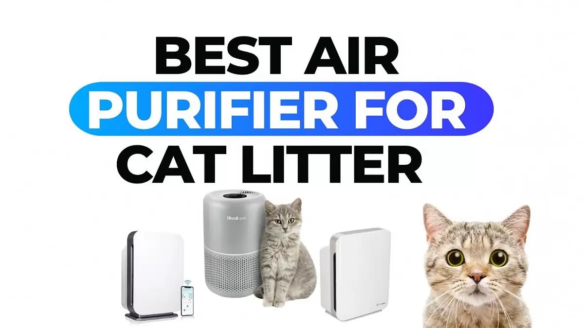 Top Air Purifiers For Cat Litter In 2023 Ultimate Guide