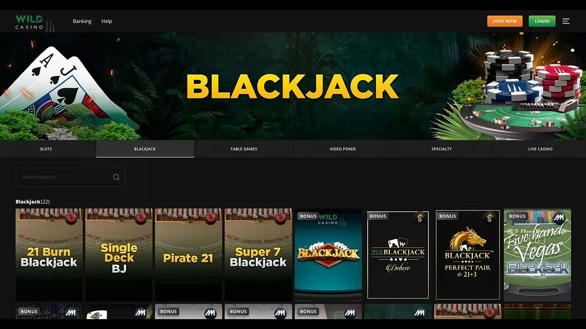 Best Online Blackjack Casinos 