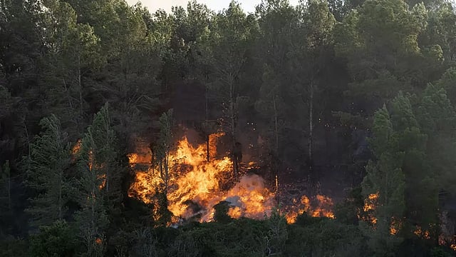 Wildfire Ravages Spain's Valencia