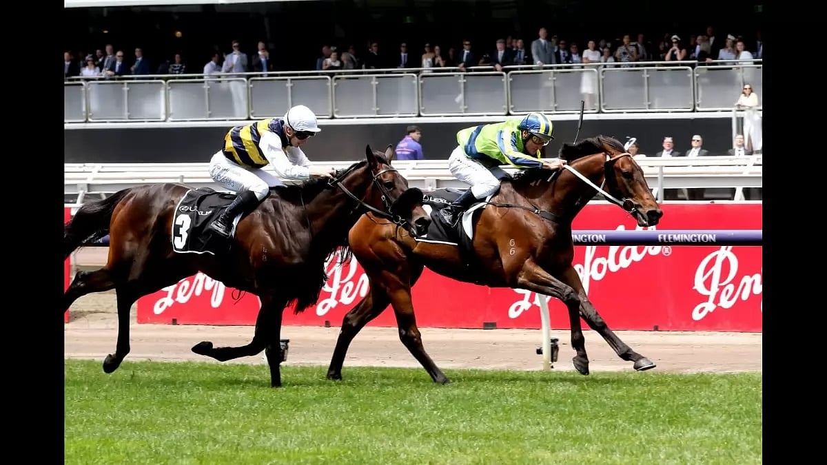 Watch 2023 Melbourne Cup Carnival 