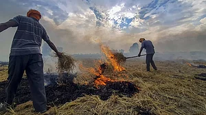 Stubble burning in Amritsar