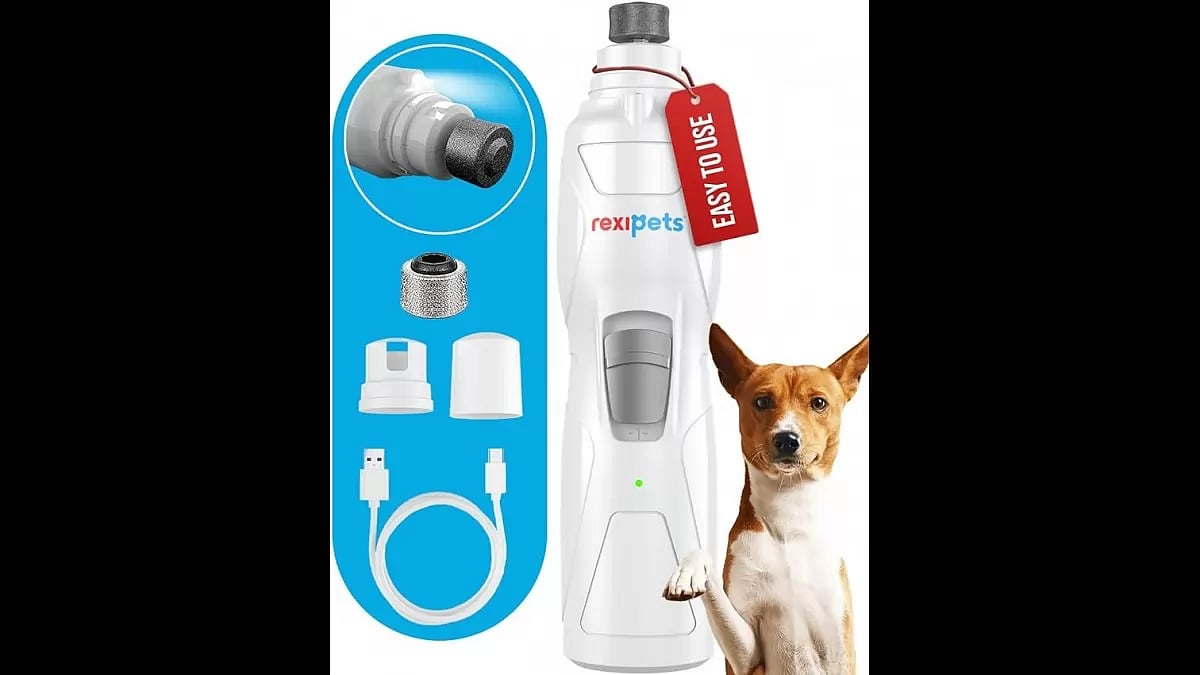 Best Dog Nail Grinder