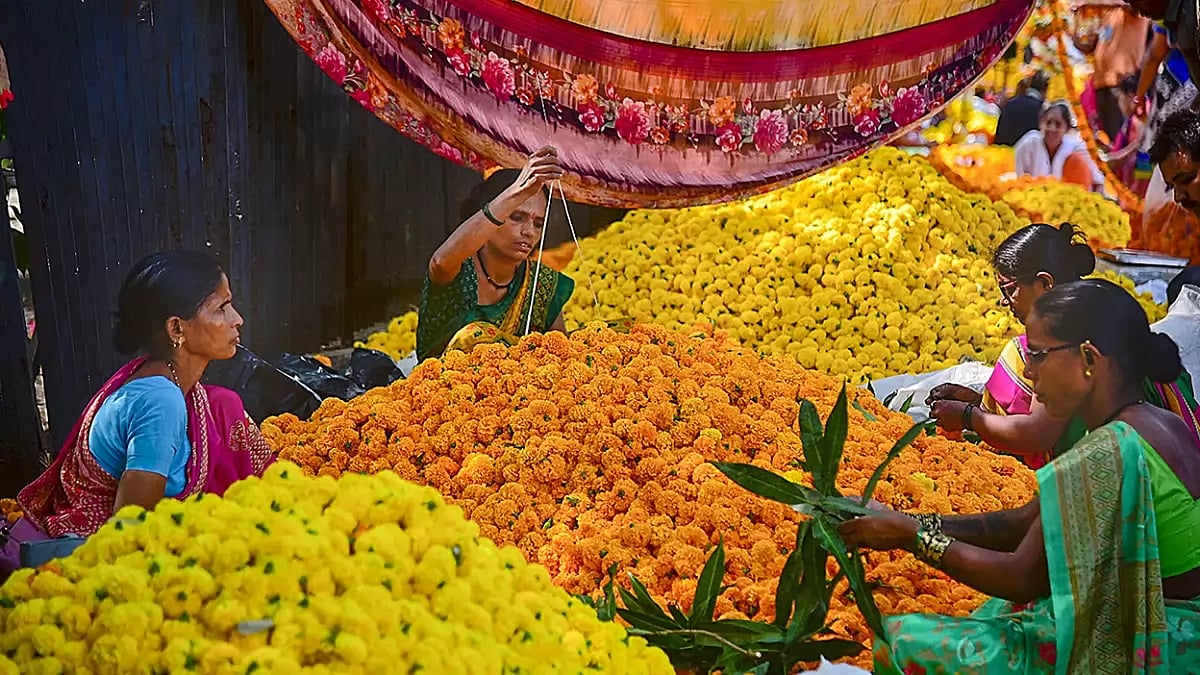 Diwali celebration preps
