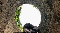 Photo: Shutterstock