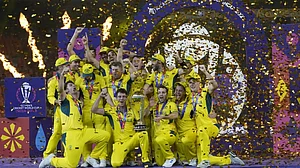 Australia celebrate winning CWC 23