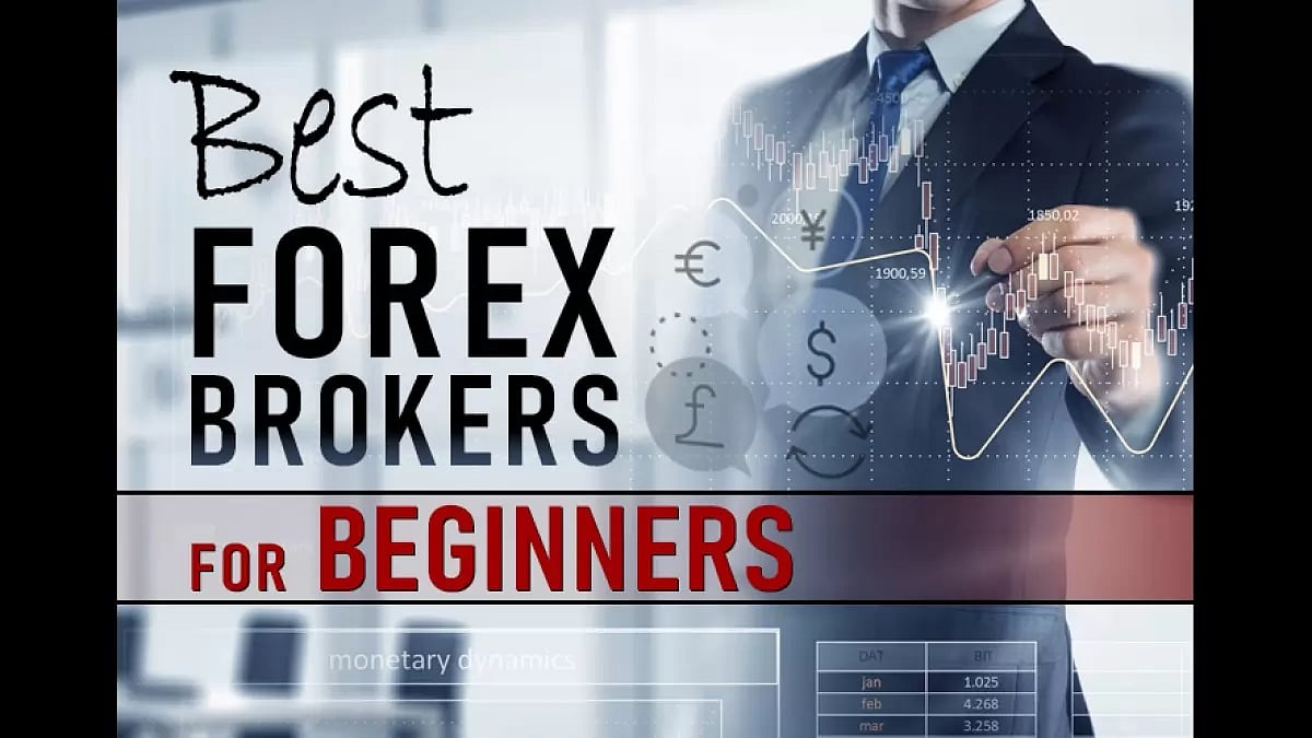 Best Forex Brokers For Beginners