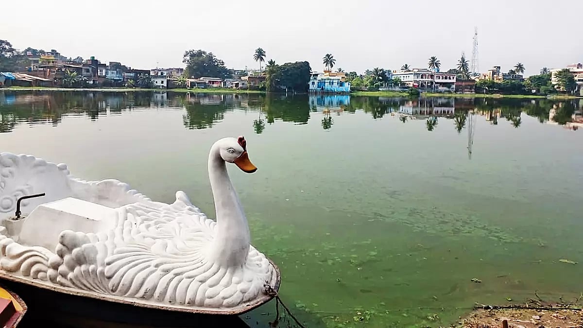 Remote Town: Sultan Pokhar in Forbesganj—a small town in Bihar, nestled in the foothills of the Himalaya, on the Nepal border 