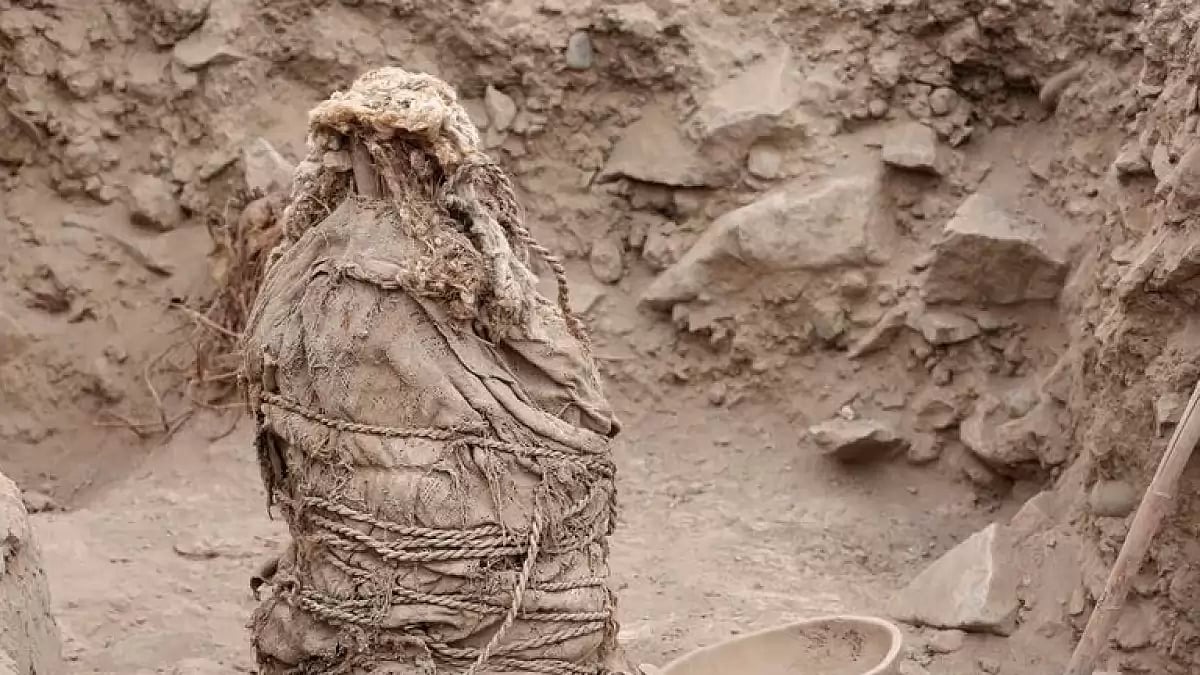 One of five mummies, that according to archaeologists belong to the pre-Inca Ychsma culture. 