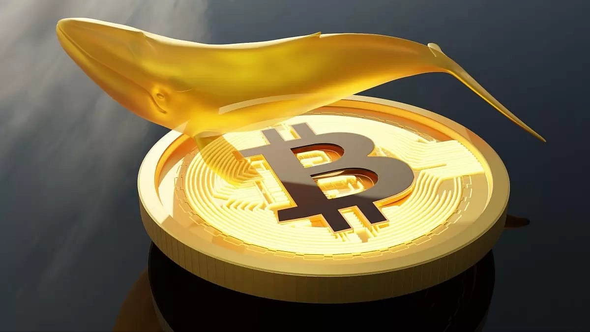 Whale Magnet Alert: Bitcoin (BTC), Tron (TRX) & Everlodge (ELDG) 