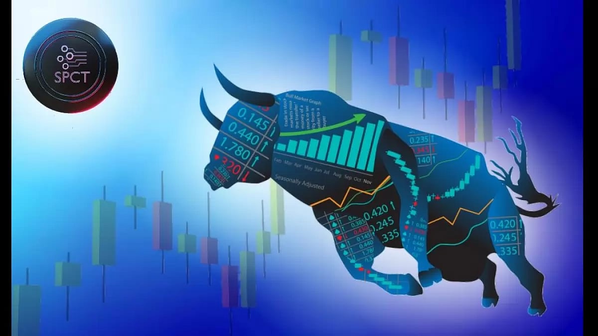 Assessing Crypto Market Alternatives