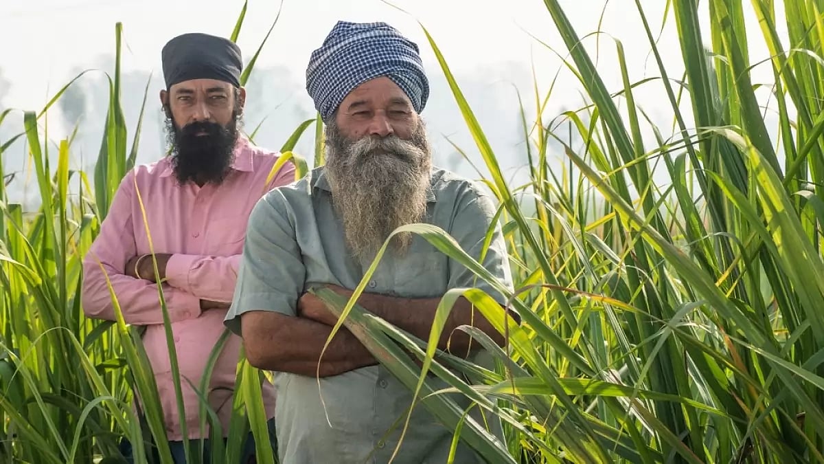 Balrampur Chini Mills Limited - Emerging Stronger With Green Initiatives