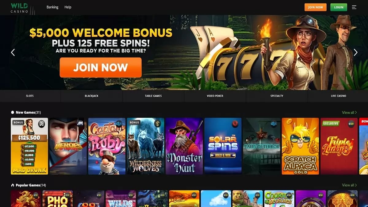 Wild Casino Bonus Codes USA