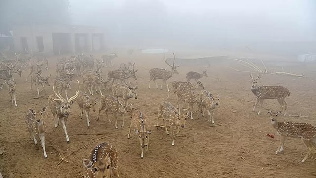 Day In Pics: December 01, 2023