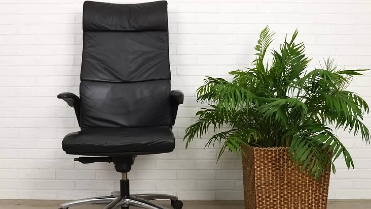 Office chairs with lumbar support