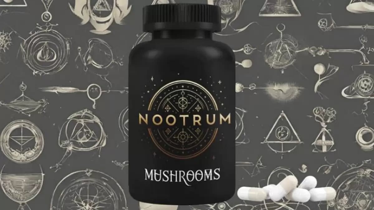 Best Mushrooms For Brain Health 2024