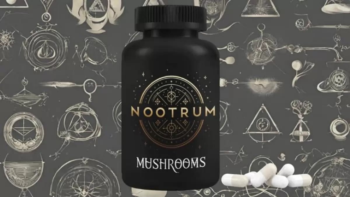 Nootrum mushroom