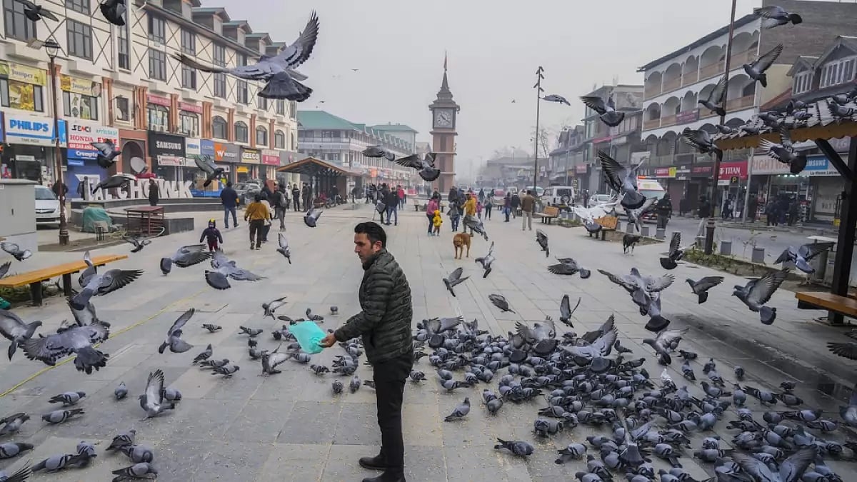 A man feeds pigeons at the main market in Srinagar, Jammu and Kashmir, on Dec. 11, 2023, after the Supreme Court upheld the abrogation of Article 370.