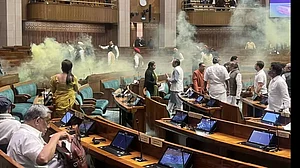 Two visitors caused security breach in Lok Sabha on Wednesday.