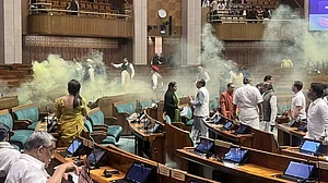 Miscreants caused security breach inside Parliament by spraying smoke