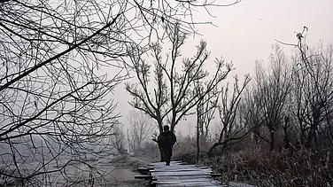 Winter in the Valley: A man crosses a footbridge at the floating vegetable market of Dal Lake, Srinagar on a wintry morning