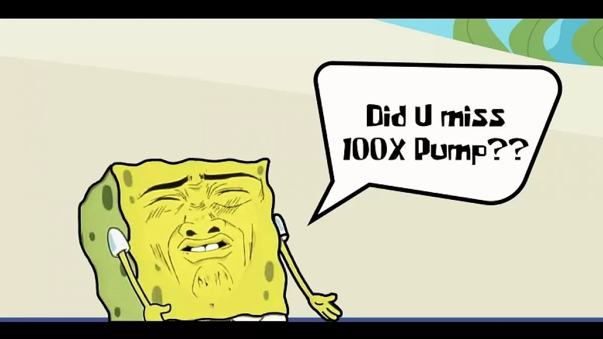 Sponge's incredible journey in 2023