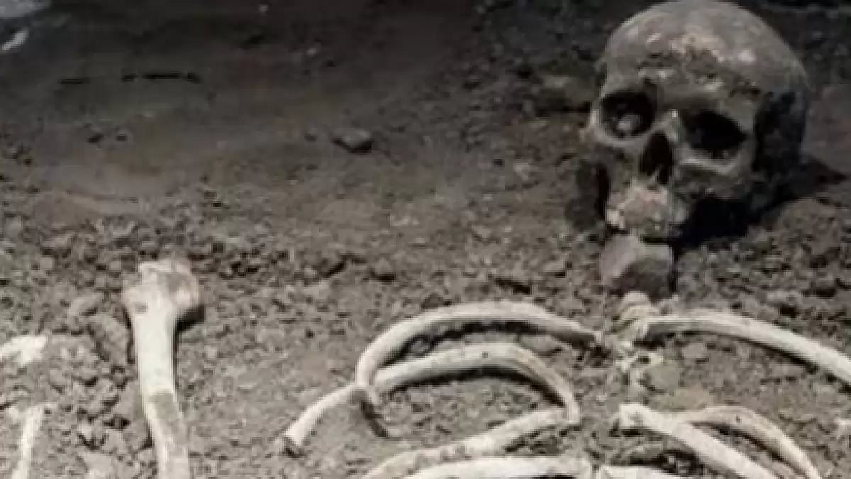 Representational Image