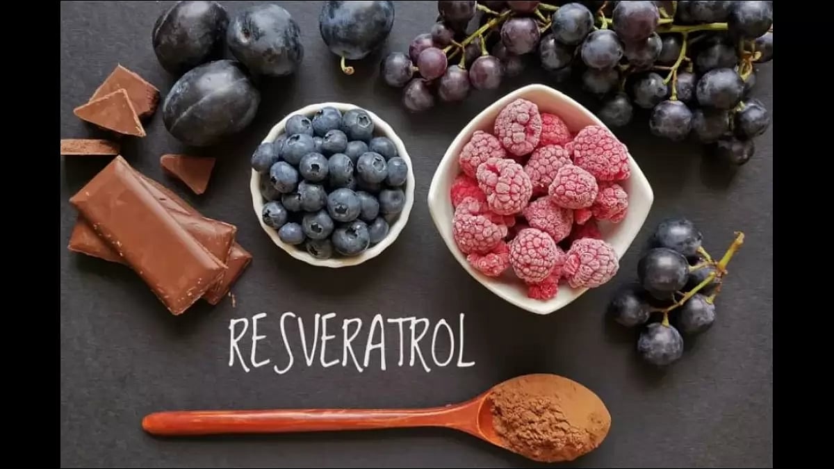 Best Resveratrol Supplements