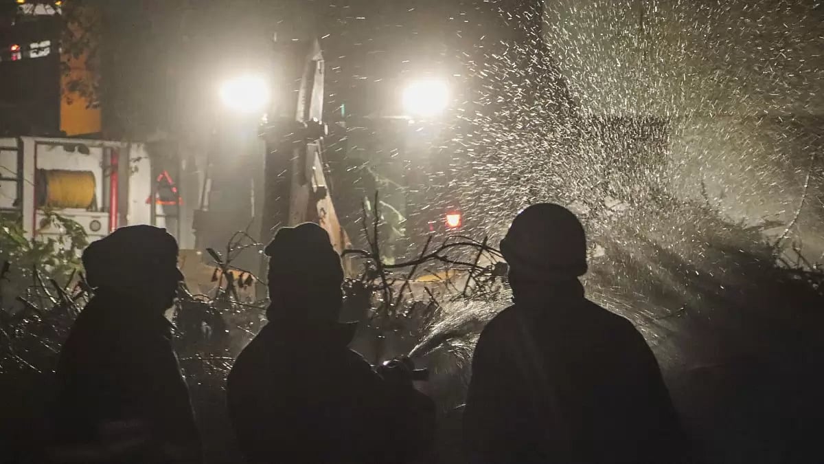 Fire in forest near Modi Mill - null