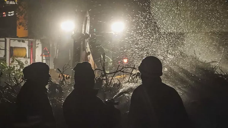 Fire in forest near Modi Mill - null