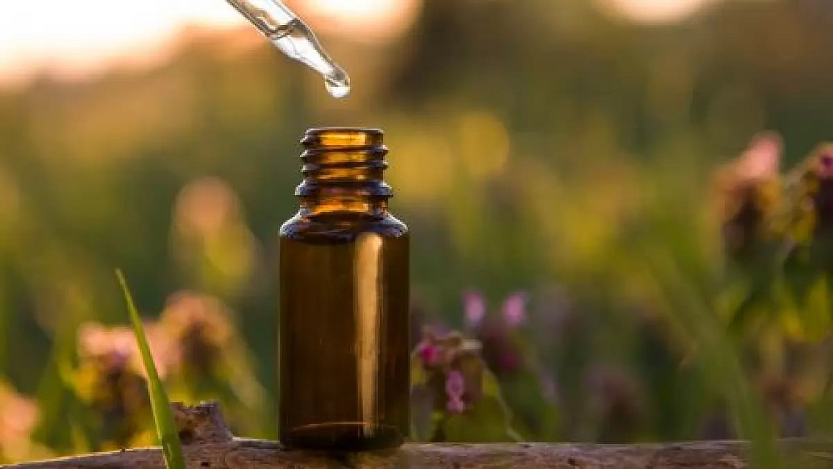 DMSO Bei Rossmann, Dm Oder Apotheken Kaufen?