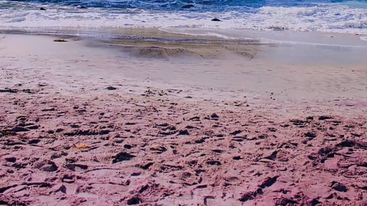 Pfeiffer Big Sur State Beach 