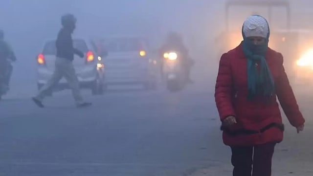 North India Weather Update: Biting Cold Continues As Mercury Drops; Dense Fog Prevails In Delhi, Punjab, Haryana, UP