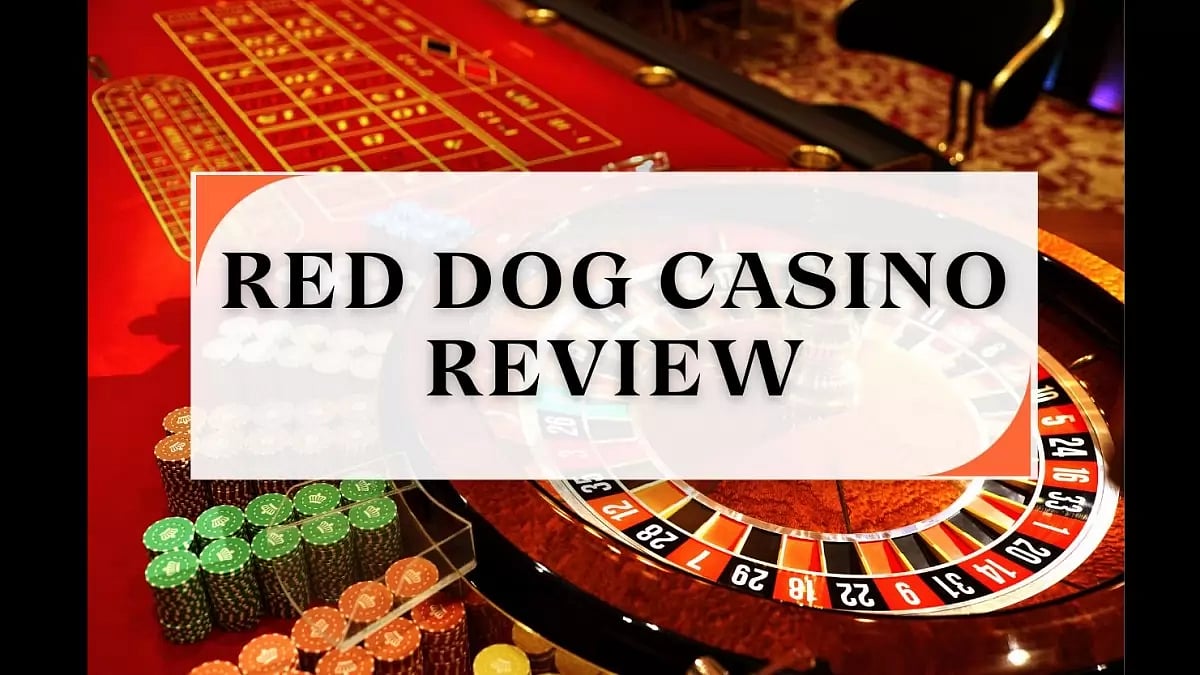 Red Dog Casino Review 2024