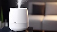 best humidifier in india
