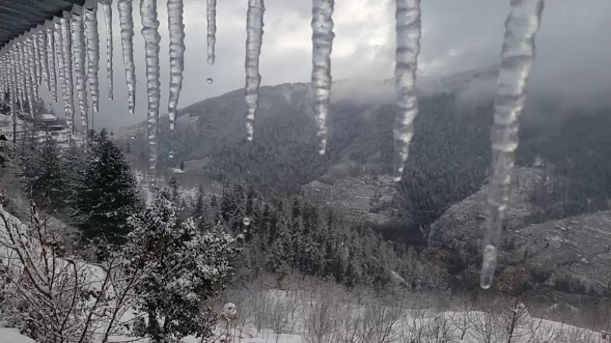 A view of apple farms after fresh snowfall, at Kotkhai, on January 6, 2019 in Shimla,