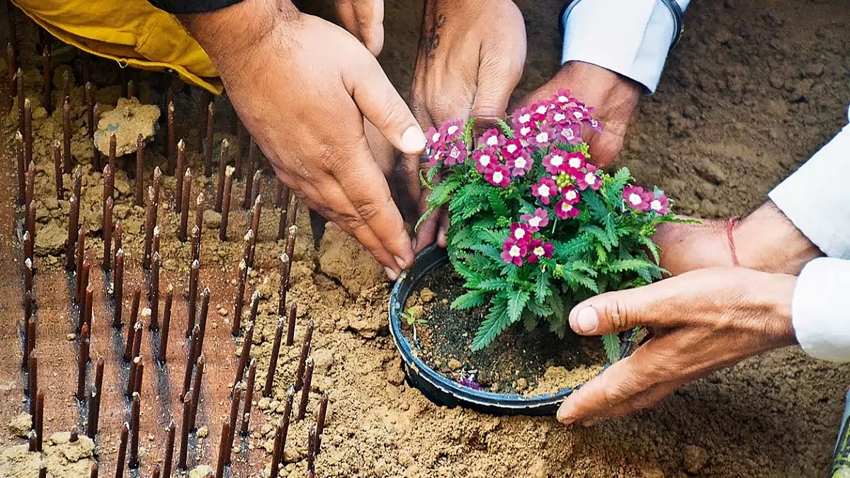Farmers sow flowers next to the iron rails placed by the Delhi Police in Ghazipur (Delhi-UP border) in 2021  