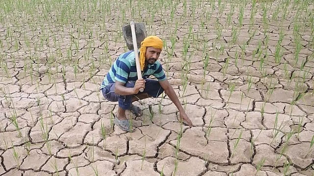 Himachal Farmers Worried As Drought Delays Rabi Sowing