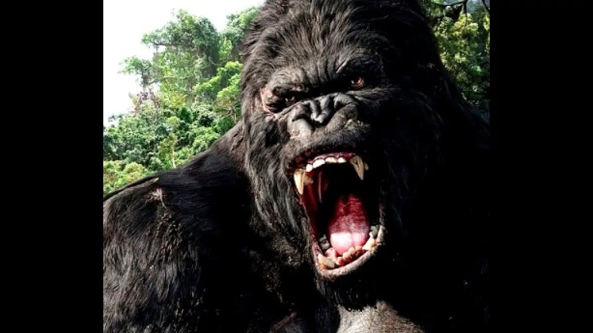 King Kong