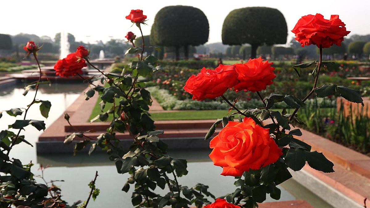 Mughal Garden now known as Amrit Udyan. 