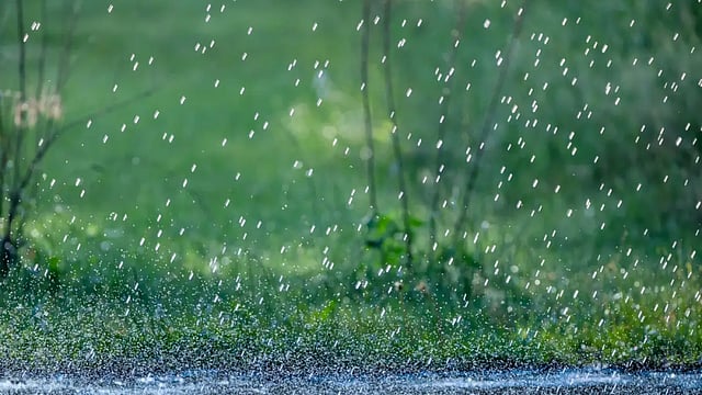 Poems: Rain Songs